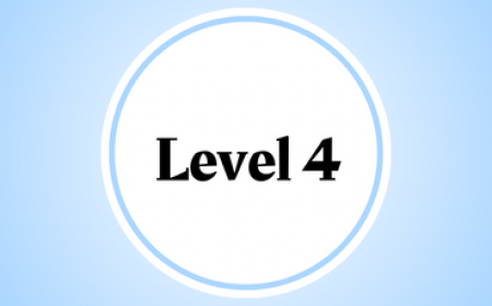 Kindercursus 3 ski (4-5 jr) level 4
